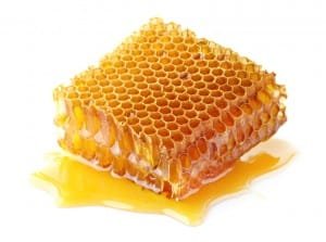Honeycomb in closeup